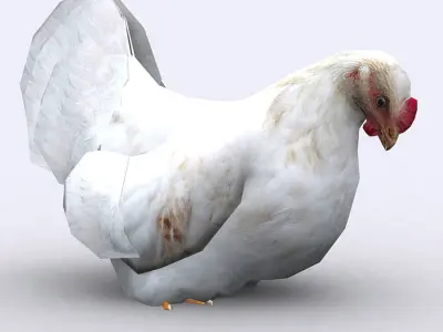 3DRT - Chicken Low-poly 3D model