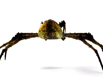 Rigged Monster Spider Horror Fantasy Creature 3D model