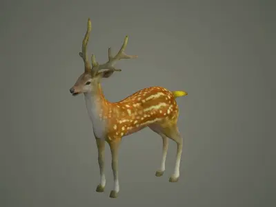 deer stag animal doe game lowpoly forest animation  3D model