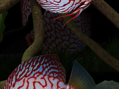 Aquarium fish tank with plants in it 3D model