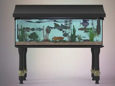 Fish aquarium 3D model