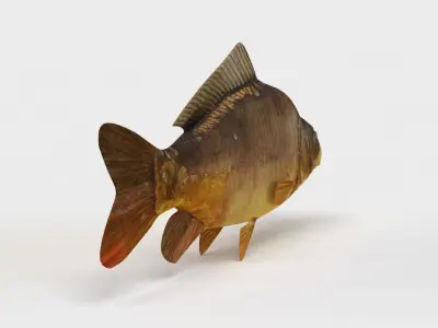 Mirror Carp Fish Cyprinus Carpio 3D model