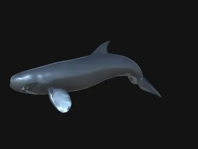 Livyatan Asset Pack Low-poly 3D model