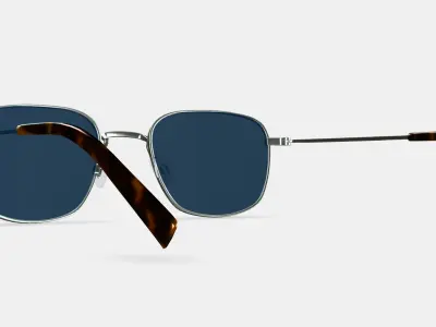 Blount Sunglasses in Antique Silver 3D model
