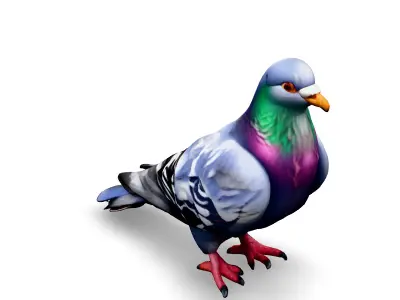 Realistic Animated Pigeon 3D Model Low-poly 3D model