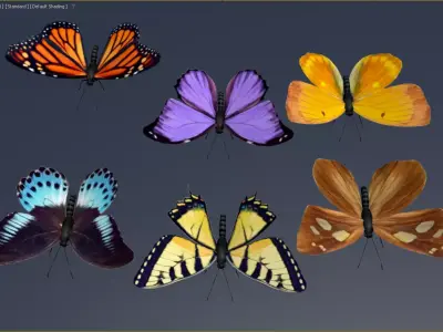 Butterfly model 3D model