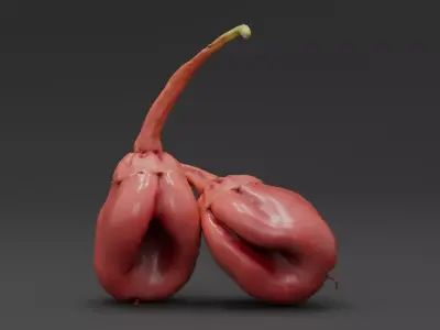  7 Pot Bubblegum Pepper or Capiscum chinense or BBG7 Low-poly 3D model