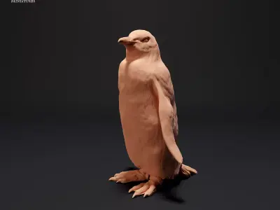 Gentoo Penguin Free 3D print model