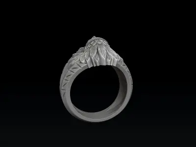 Native Indian Ring v2 3D print model