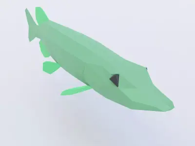 Northern pike fish low poly 3d model  Low-poly 3D model