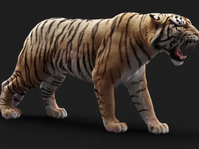 Bengal Tiger RIG Yeti 3D model purchase