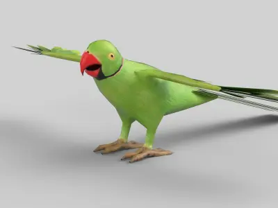 parrot flying in air Low-poly 3D model