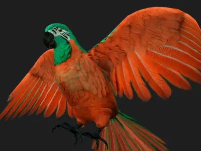 Parrot A2 3D model