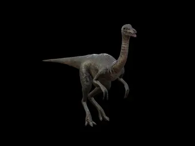 Gallimimus - The Chicken Mimic Low-poly 3D model