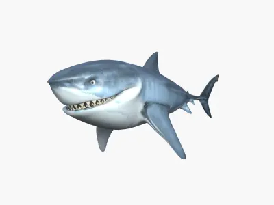 Bruce The Shark Low-poly 3D model