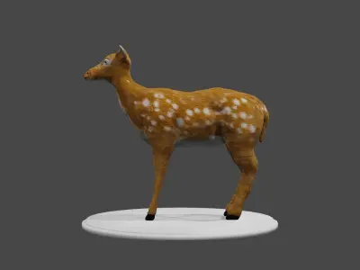 Doe Low Poly 3D Model deer Low-poly 3D model