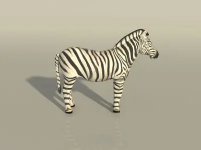 Zebra - Editable Free 3D model