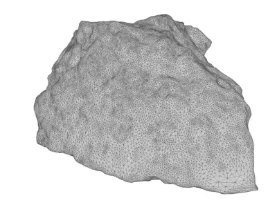 Fossil rock 3D model