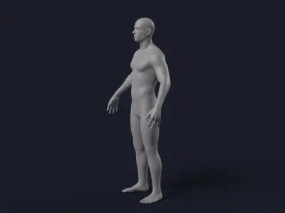 Male Base Mesh Realistic Low-poly 3D model