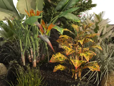 Garden Plant set Low-poly 3D model