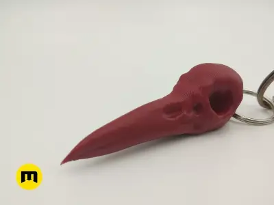 Raven Skull Free 3D print model