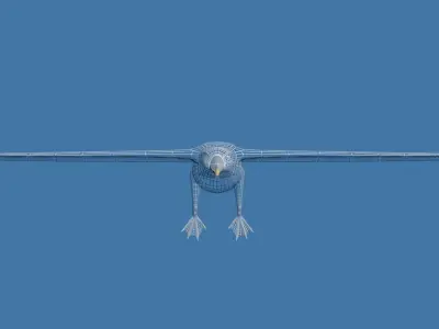 Albatross seagull Low-poly 3D model