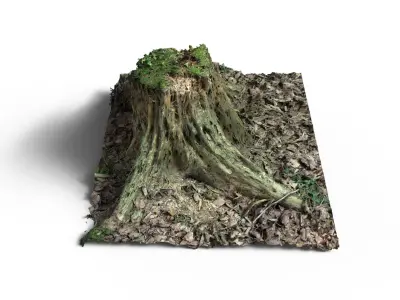 Forest Tree Stump 4K -Part 9- Free low-poly 3D model