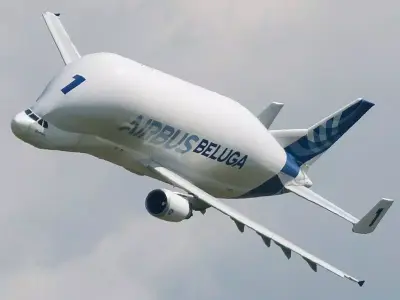 Airbus A300 Beluga 3D model