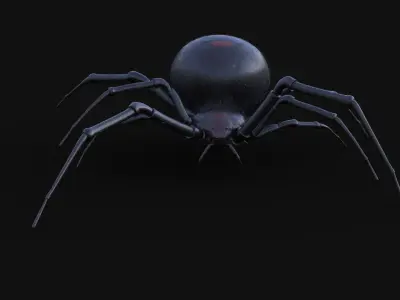 Black Widow rigged animated 3d spider 3D model