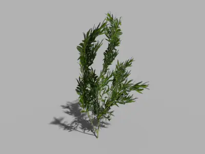 low poly river shrub Low-poly 3D model