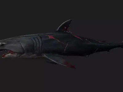 Shark A2 Free 3D model