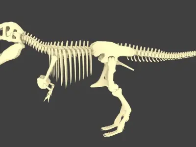 Tyrannosaurus Rex or T-Rex Dinosaur Skeleton Low-poly 3D model