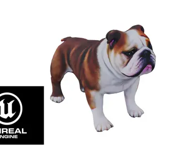 Realistic bulldog low poly  Low-poly 3D model