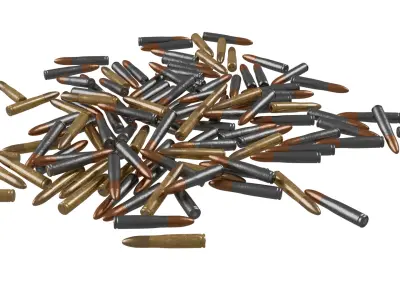 Pile Of Bullet 3D model