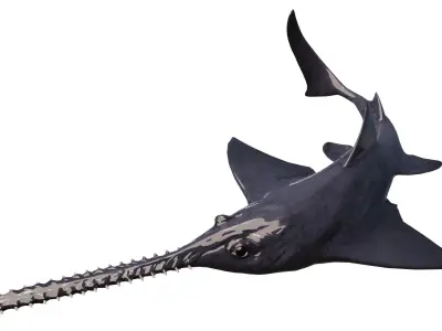 Onchopristis Asset Pack Low-poly 3D model