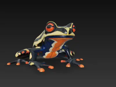 Frog Poisonous Realistic 3D Model Basic - Low Poly Realistic Low-poly 3D model