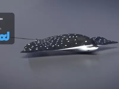 Spotted Eagle Ray 3D model