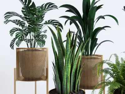 plant collection RPM 01 3D model