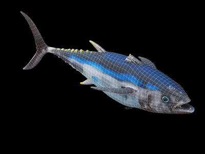 Bluefin tuna Low-poly 3D model