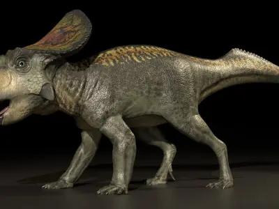 Protoceratops Asset Pack Low-poly 3D model