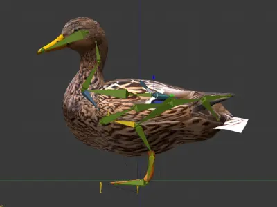 Animated Mallard Ducks Low-poly 3D model