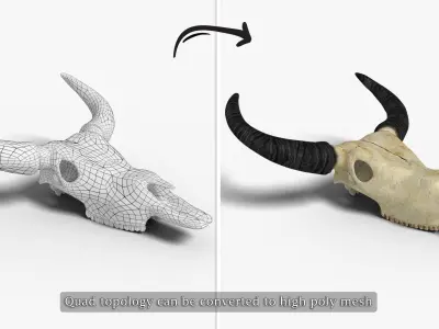 Ox skull Low-poly 3D model