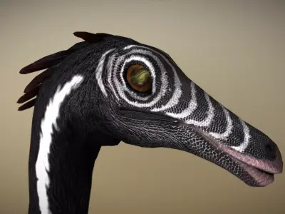 Gallimimus The Ostrich Mimic of the Cretaceous Low-poly 3D model
