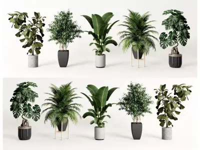 potted plant combination 3D model