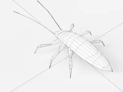 Cockroach 3d model Low-poly 3D model