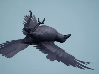 Dead Crow Low-poly 3D model