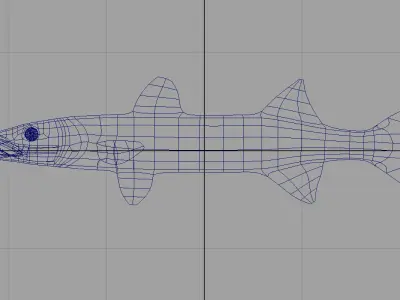 barracuda fish 3d model 3D model