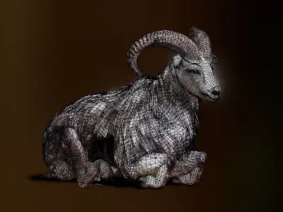 Ovis animated Low-poly 3D model