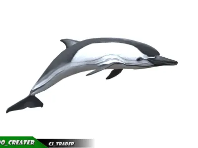 Low-Poly Dolphin Rigged Animated 3D model Low-poly 3D model