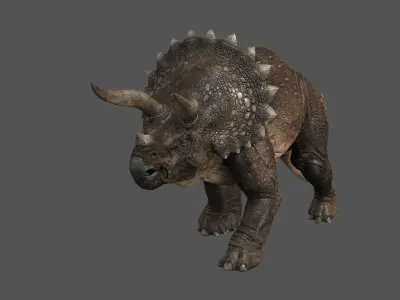 Triceratops - animations Low-poly 3D model